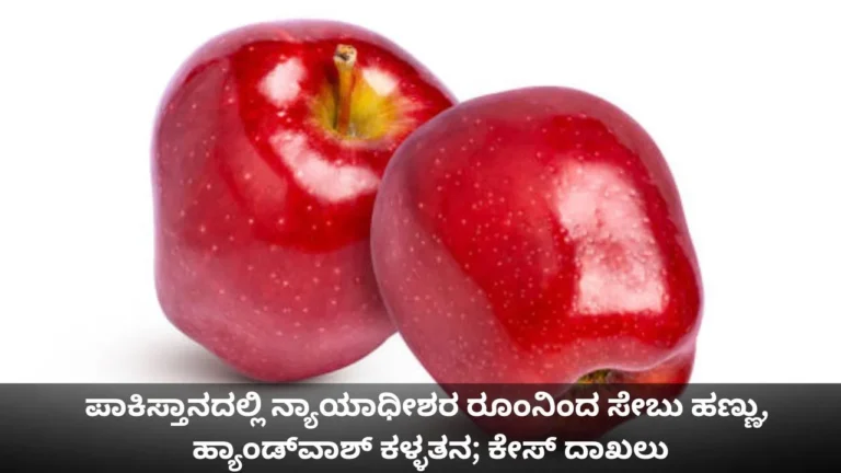 ಪಾಕಿಸ್ತಾನದಲ್ಲಿ ನ್ಯಾಯಾಧೀಶರ ರೂಂನಿಂದ ಸೇಬು ಹಣ್ಣು, ಹ್ಯಾಂಡ್​​ವಾಶ್ ಕಳ್ಳತನ; ಕೇಸ್ ದಾಖಲು